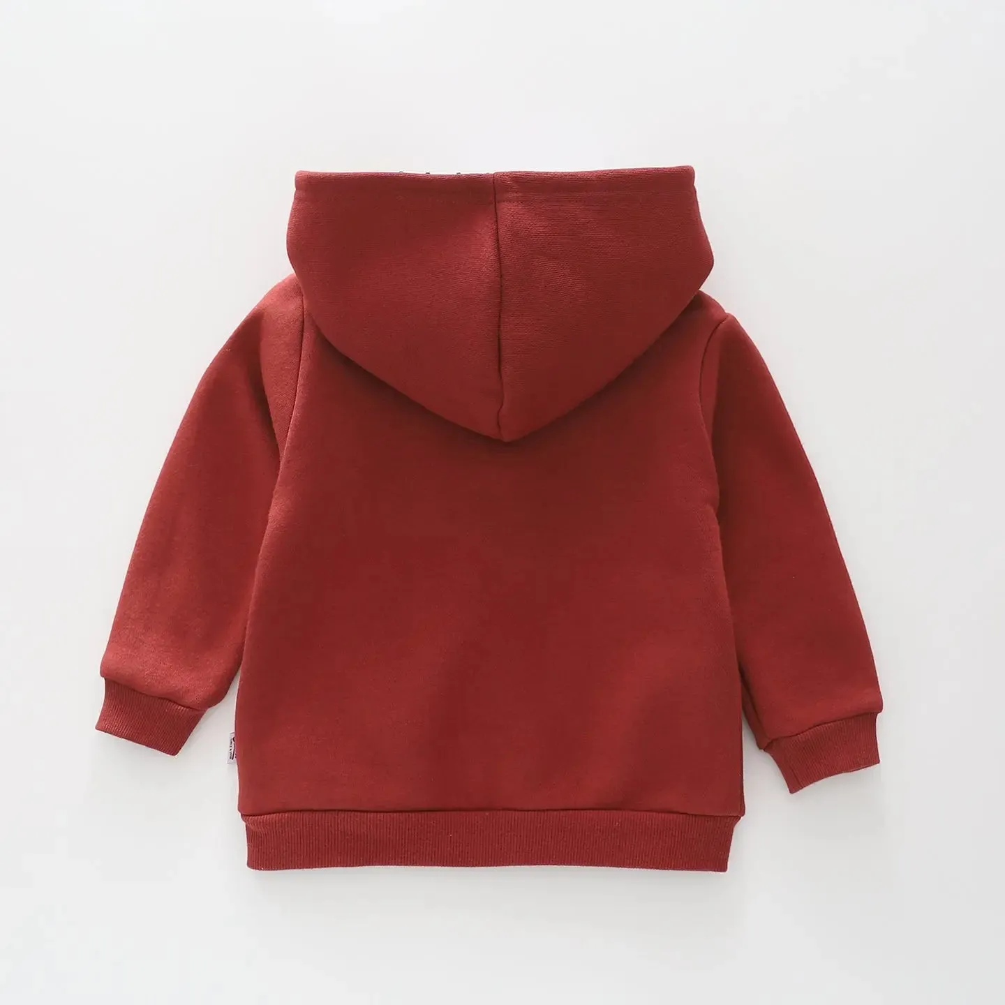 Wild Little Guy Hoodie